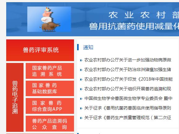 日韩精品亚洲电影天堂