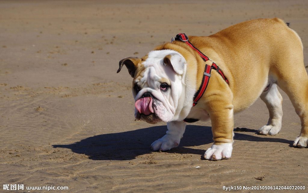 日韩精品亚洲电影天堂