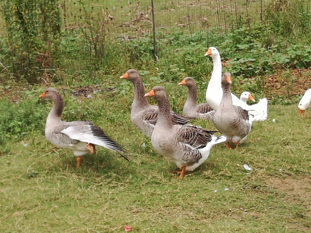 日韩精品亚洲电影天堂