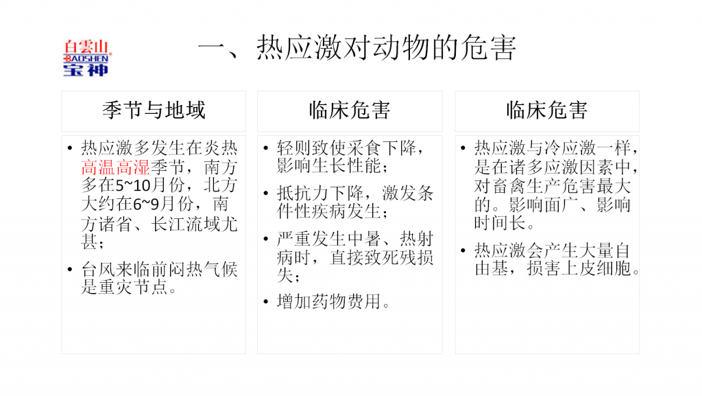 日韩精品亚洲电影天堂