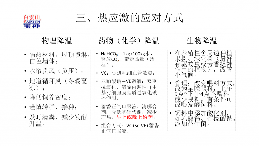 日韩精品亚洲电影天堂