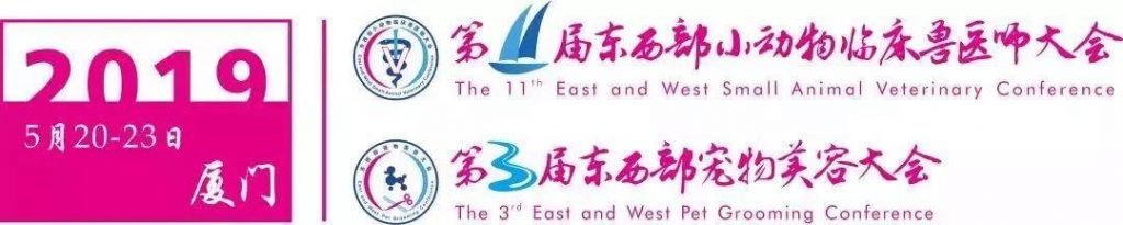 日韩精品亚洲电影天堂