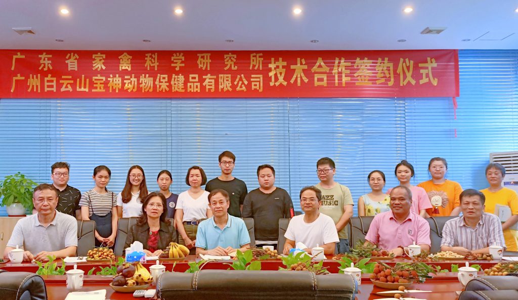 日韩精品亚洲电影天堂