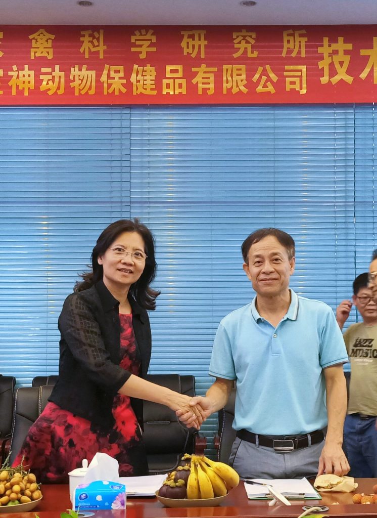 日韩精品亚洲电影天堂