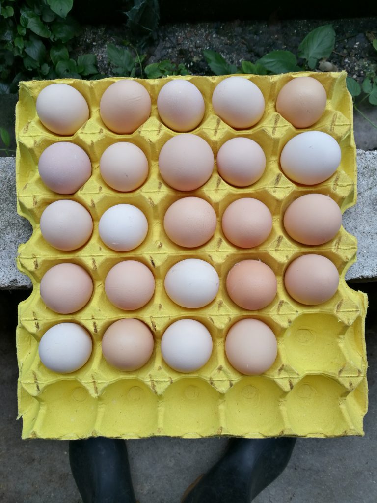 日韩精品亚洲电影天堂