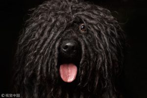 日韩精品亚洲电影天堂