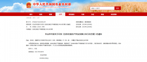 日韩精品亚洲电影天堂