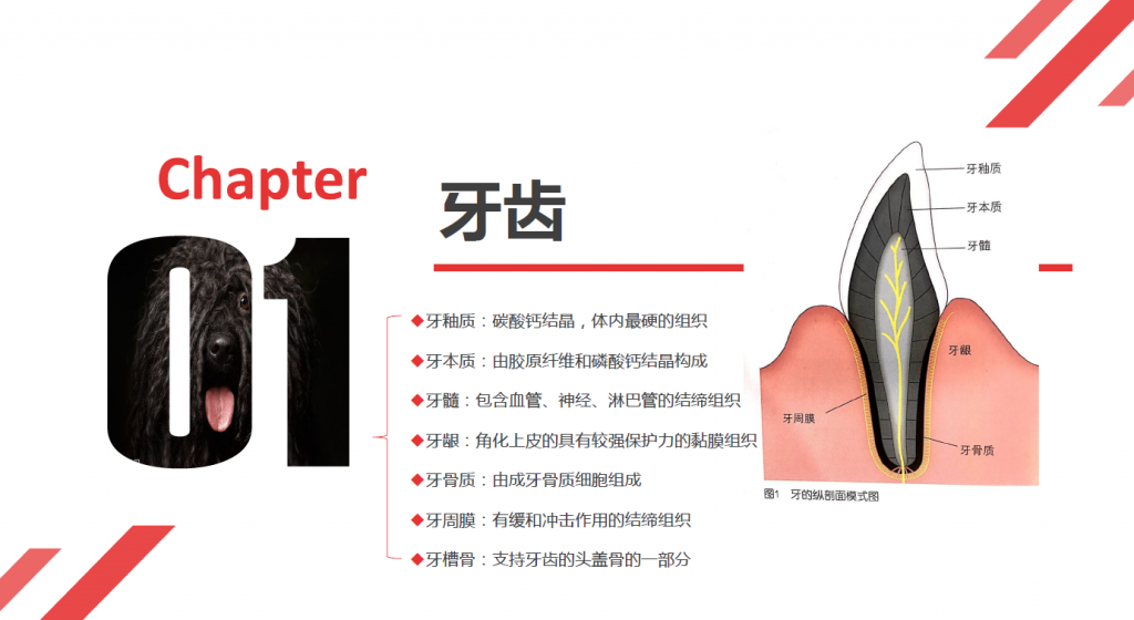 日韩精品亚洲电影天堂