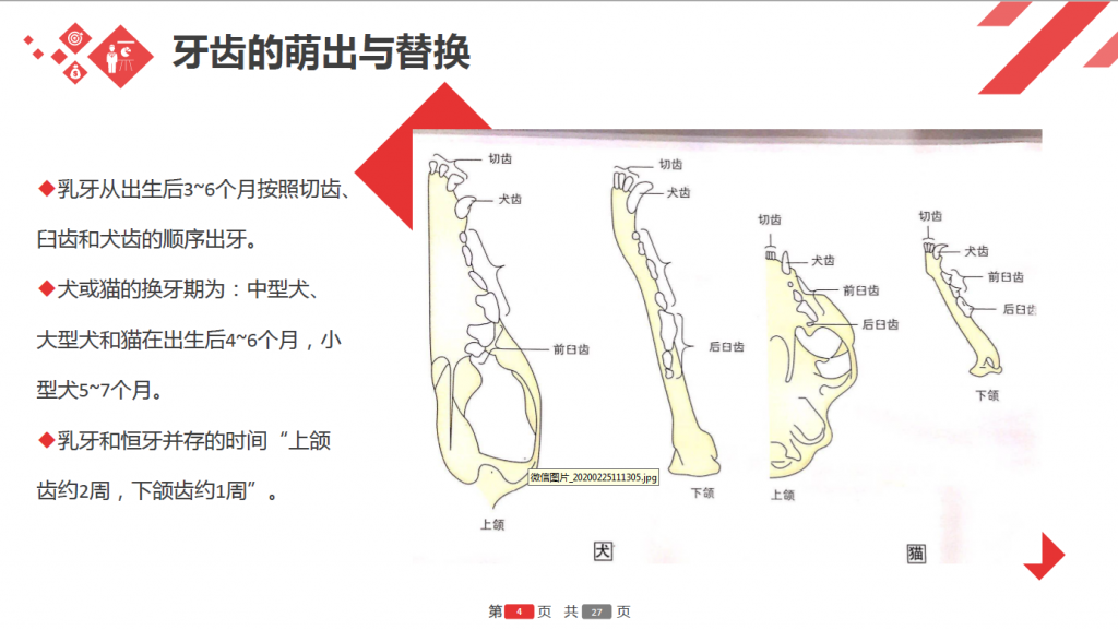 日韩精品亚洲电影天堂
