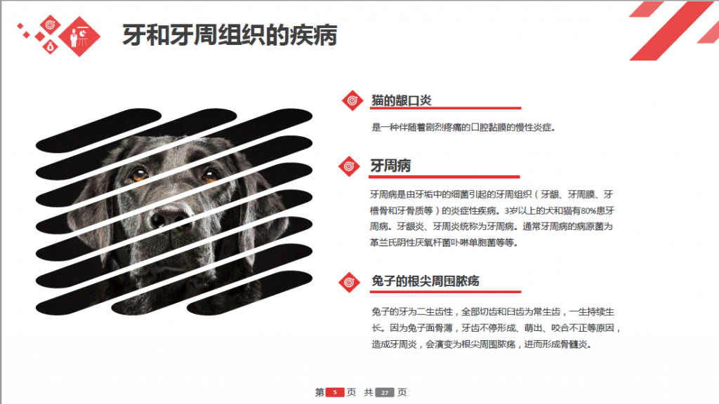 日韩精品亚洲电影天堂