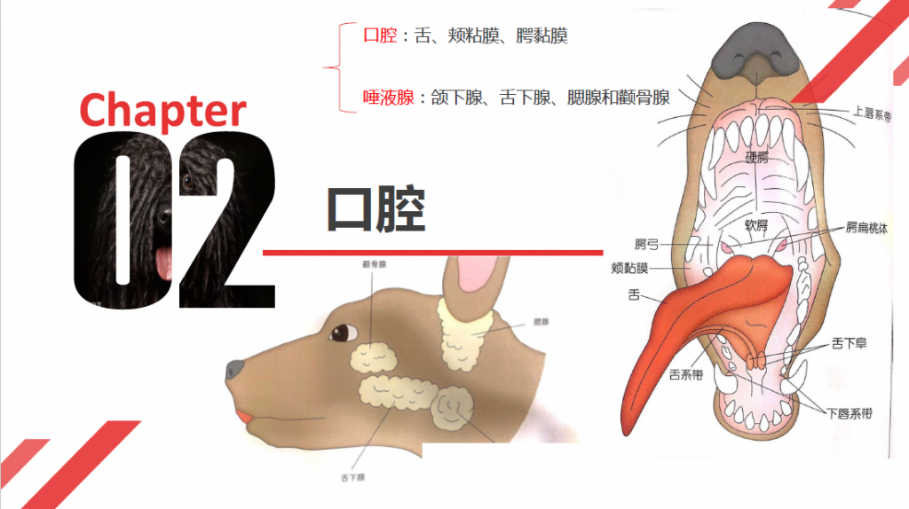 日韩精品亚洲电影天堂