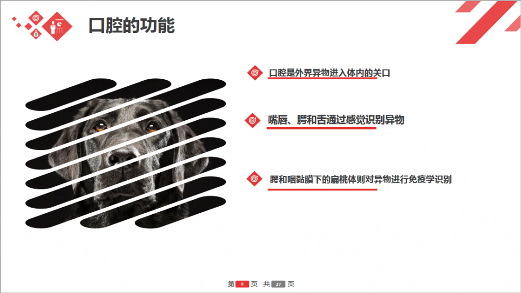 日韩精品亚洲电影天堂