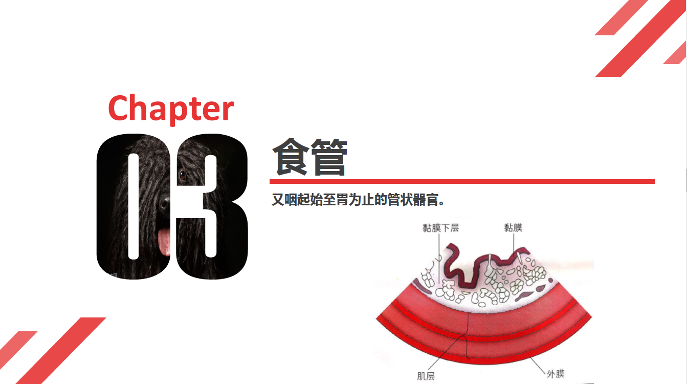 日韩精品亚洲电影天堂