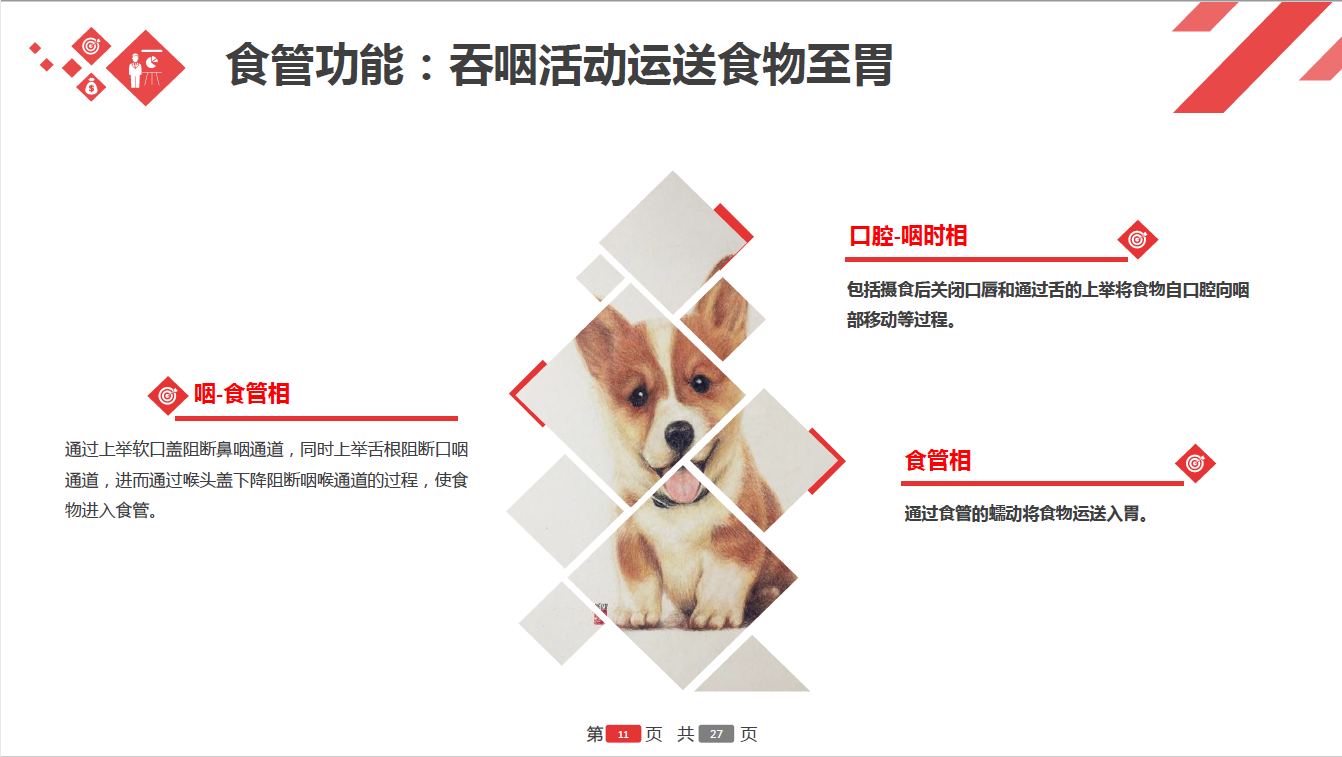 日韩精品亚洲电影天堂