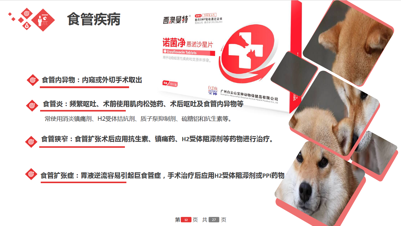 日韩精品亚洲电影天堂