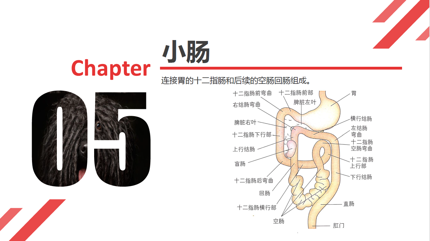 日韩精品亚洲电影天堂