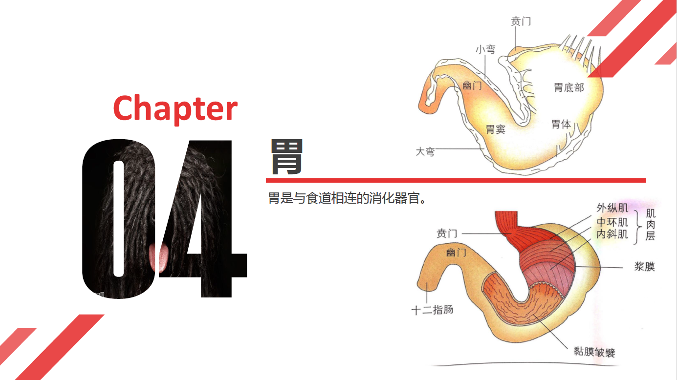 日韩精品亚洲电影天堂
