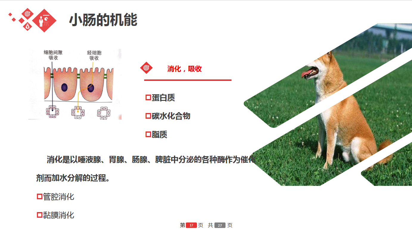 日韩精品亚洲电影天堂