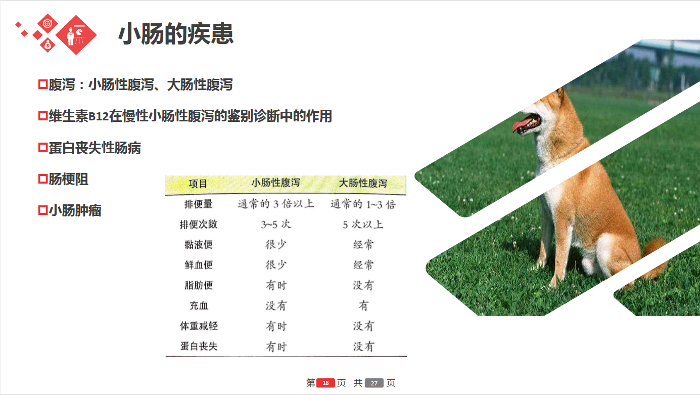 日韩精品亚洲电影天堂