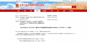 日韩精品亚洲电影天堂