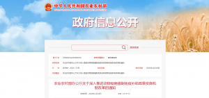 日韩精品亚洲电影天堂