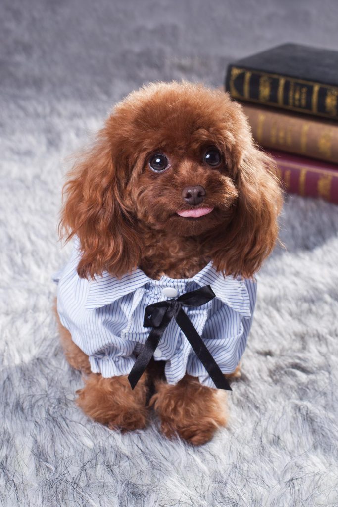 日韩精品亚洲电影天堂