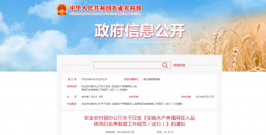 日韩精品亚洲电影天堂