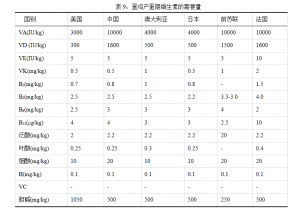 日韩精品亚洲电影天堂