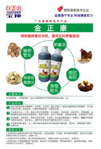 日韩精品亚洲电影天堂