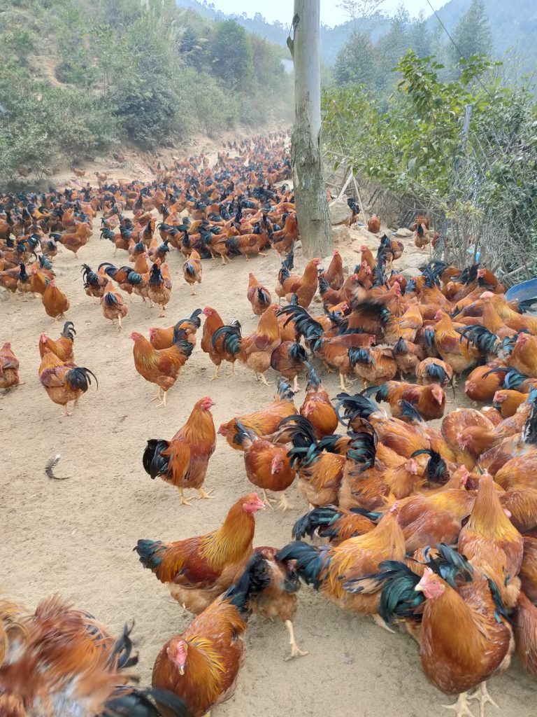 日韩精品亚洲电影天堂