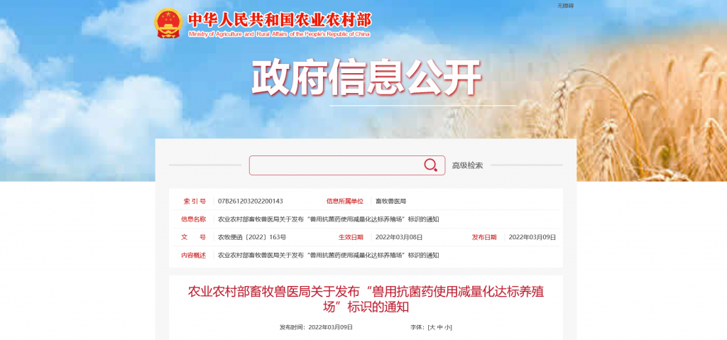 日韩精品亚洲电影天堂