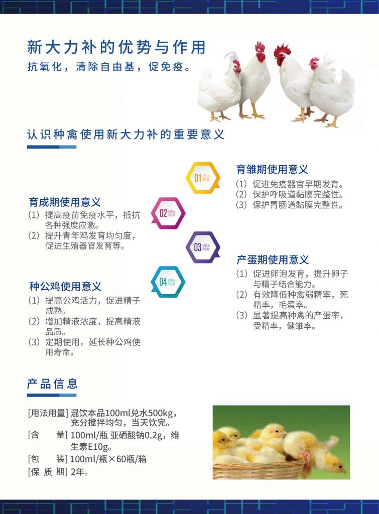 日韩精品亚洲电影天堂