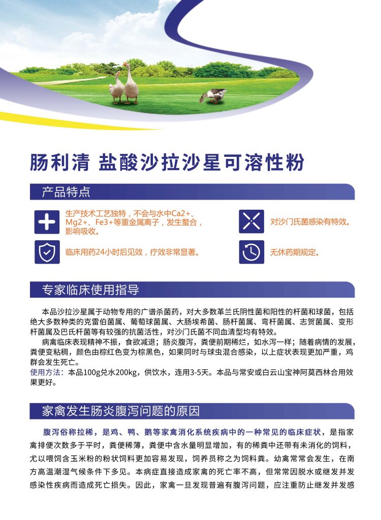 日韩精品亚洲电影天堂