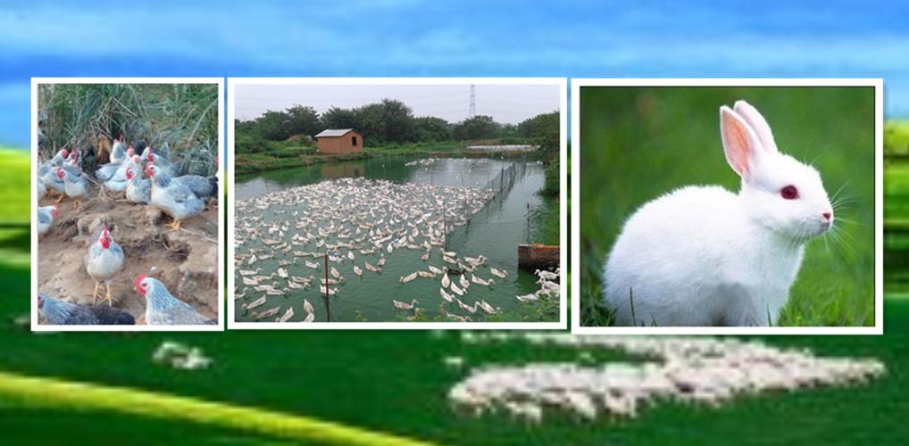 日韩精品亚洲电影天堂