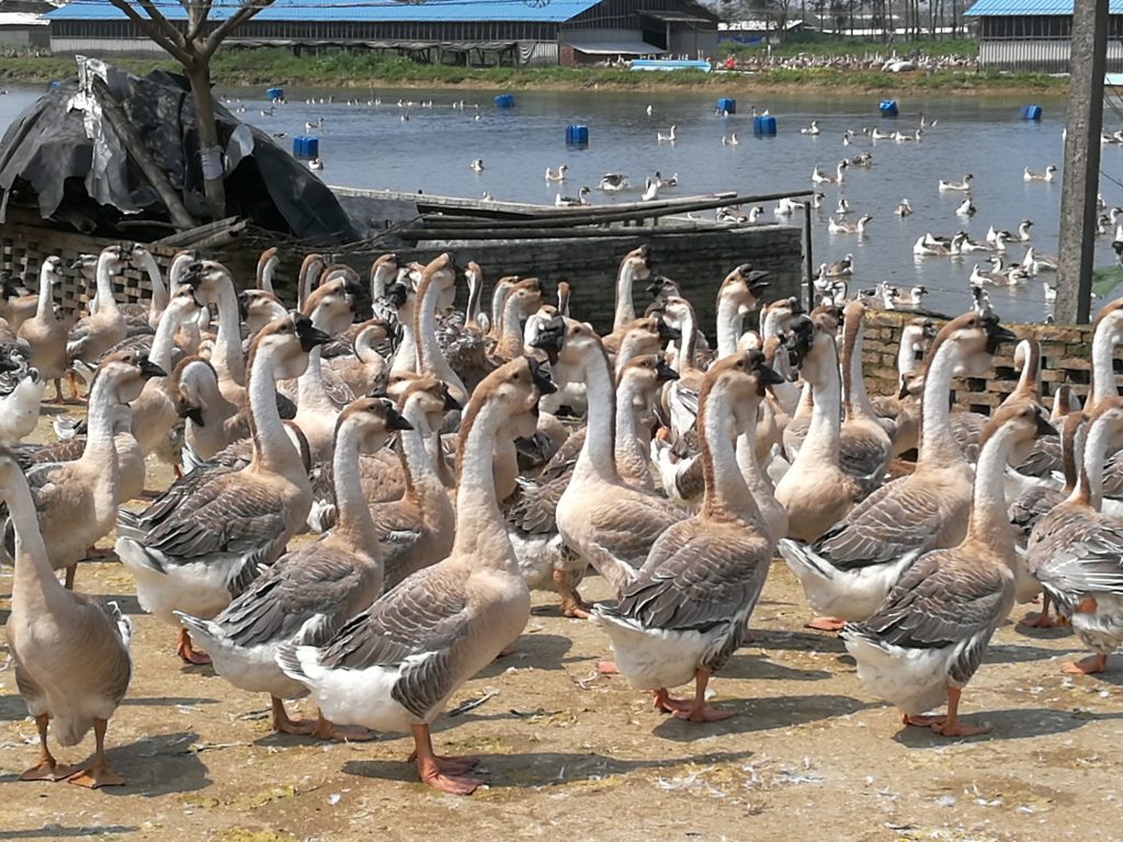 日韩精品亚洲电影天堂
