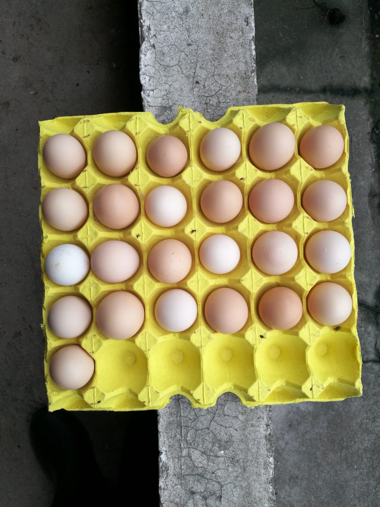 日韩精品亚洲电影天堂