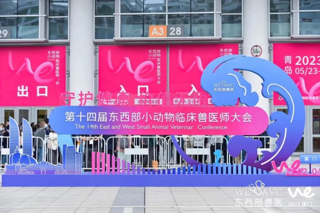 日韩精品亚洲电影天堂