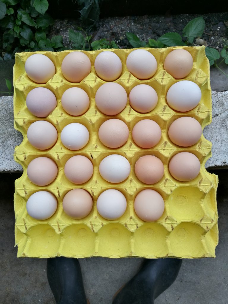 日韩精品亚洲电影天堂