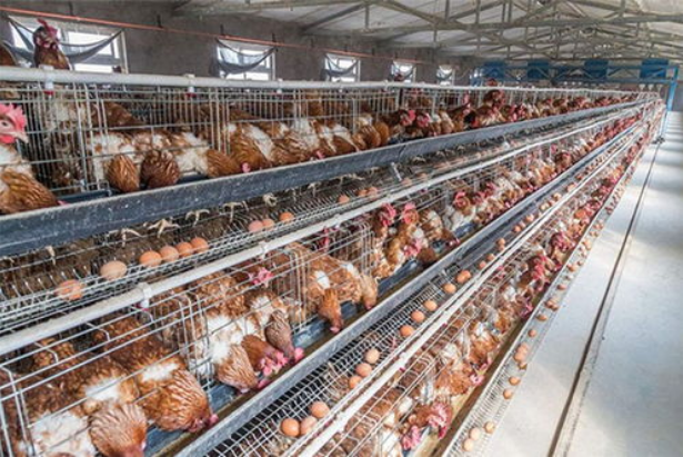 日韩精品亚洲电影天堂