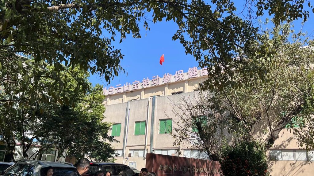 日韩精品亚洲电影天堂