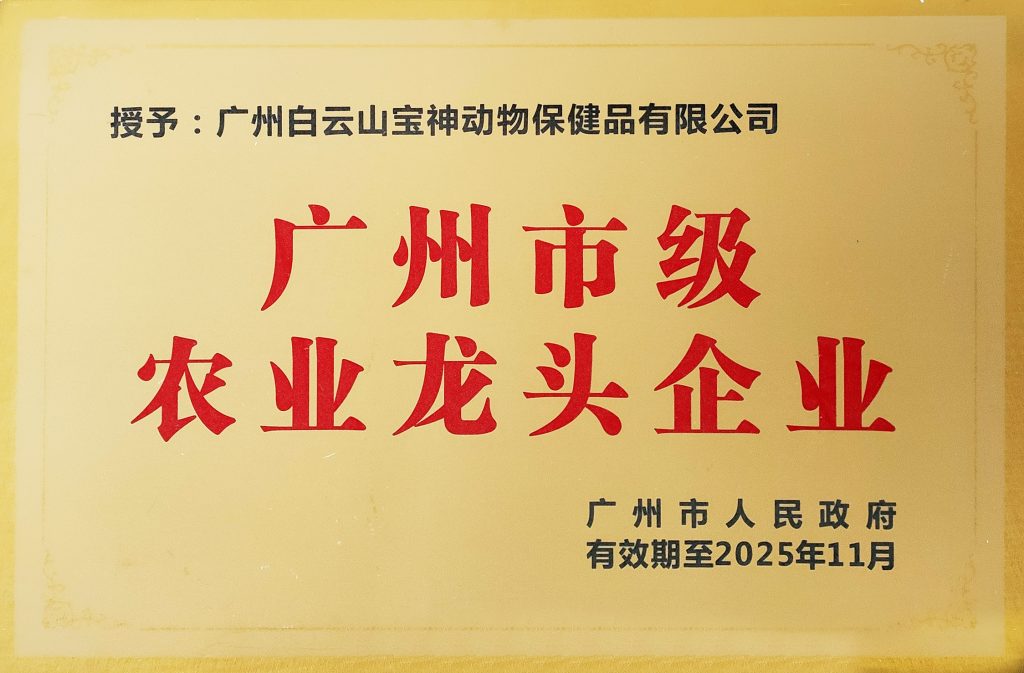 日韩精品亚洲电影天堂