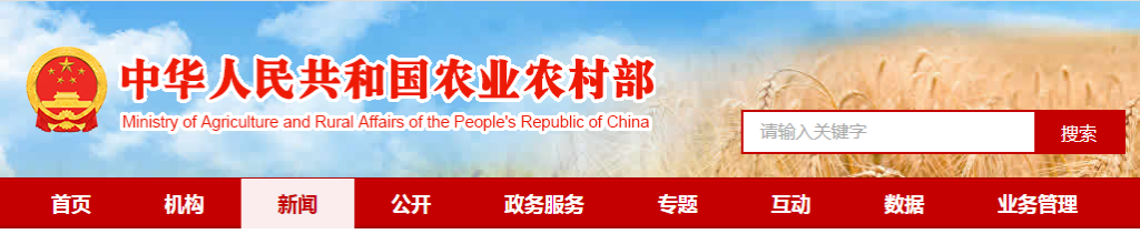 日韩精品亚洲电影天堂