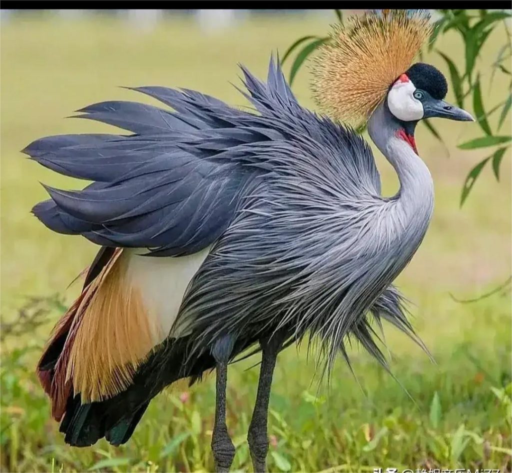 日韩精品亚洲电影天堂