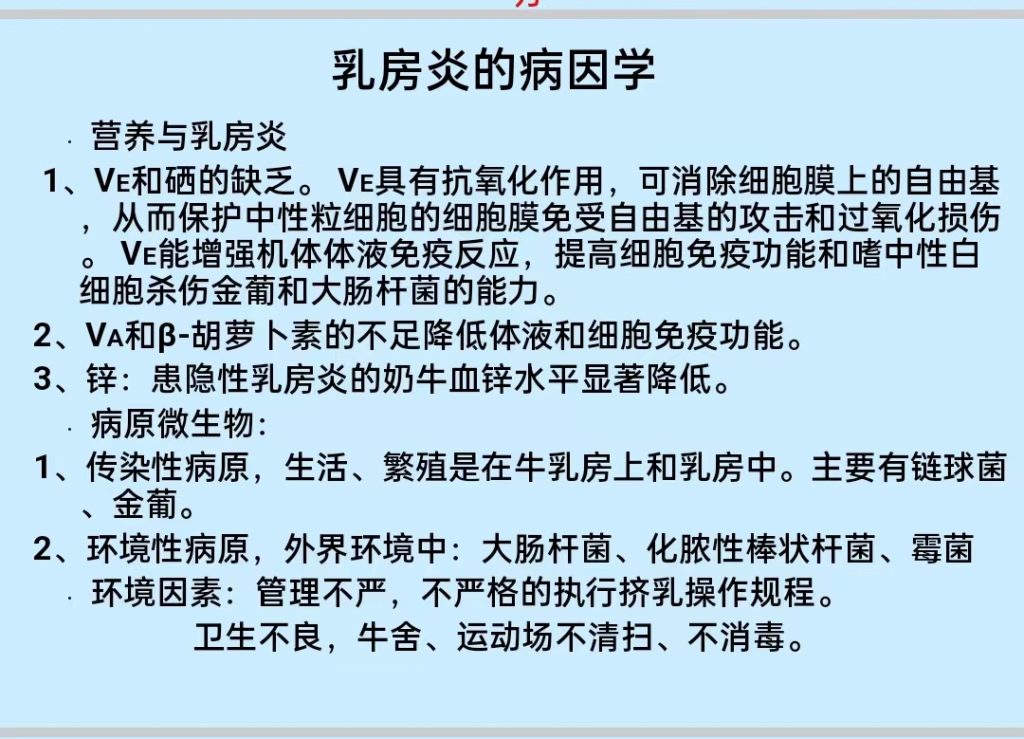 日韩精品亚洲电影天堂