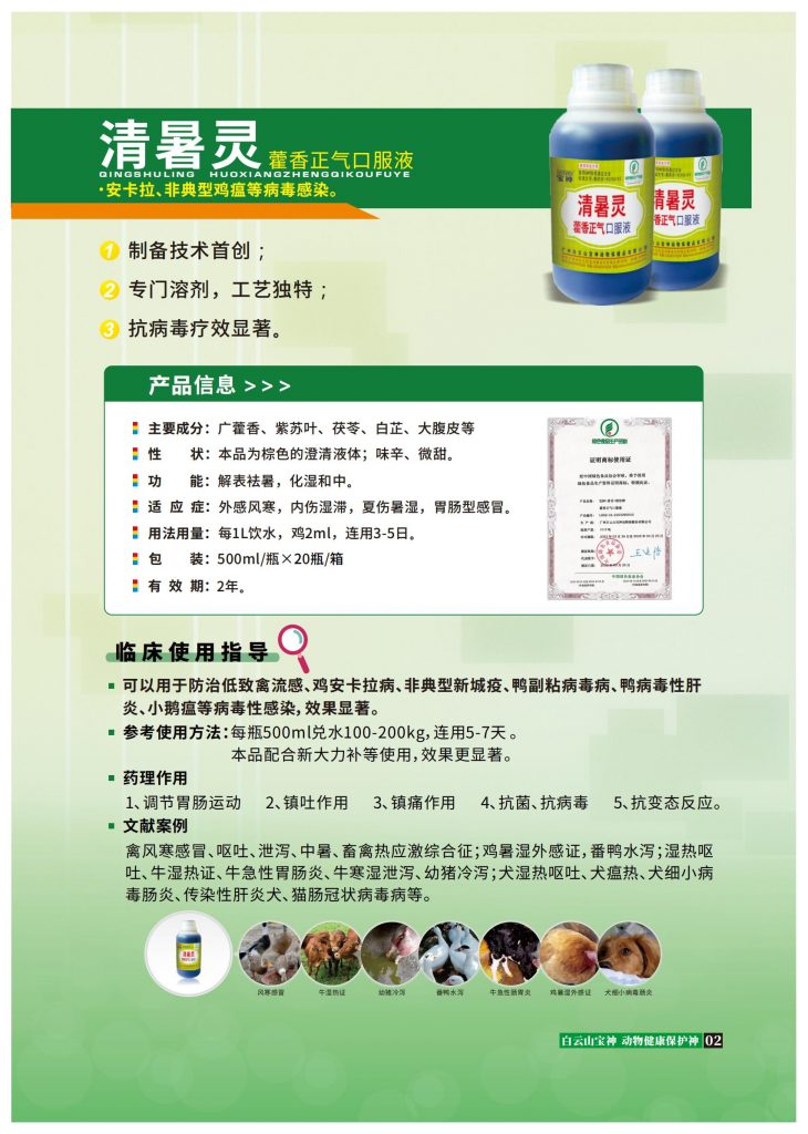 日韩精品亚洲电影天堂