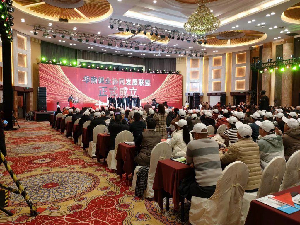 日韩精品亚洲电影天堂