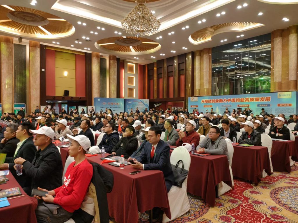 日韩精品亚洲电影天堂