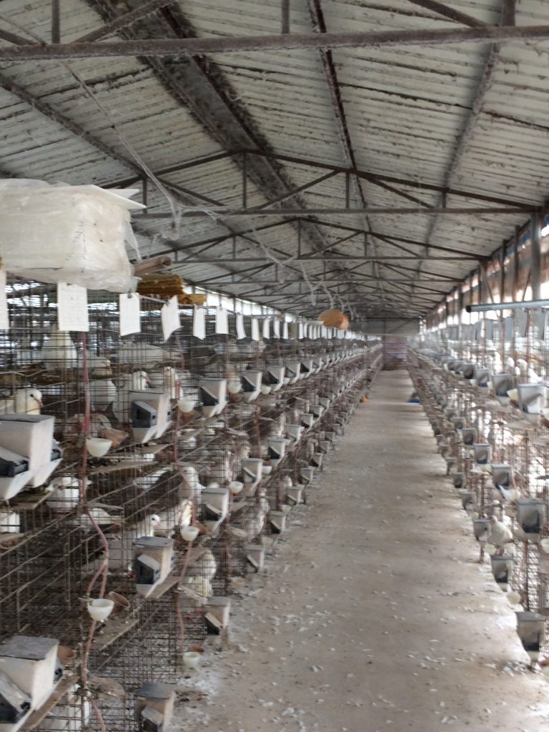 日韩精品亚洲电影天堂