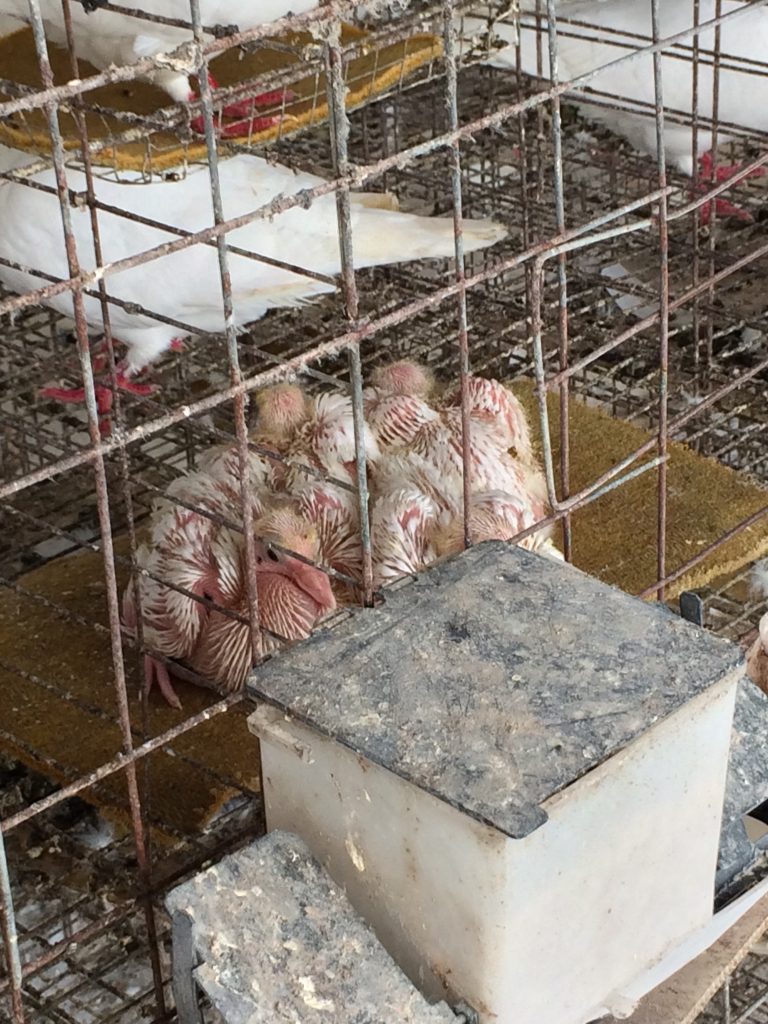 日韩精品亚洲电影天堂