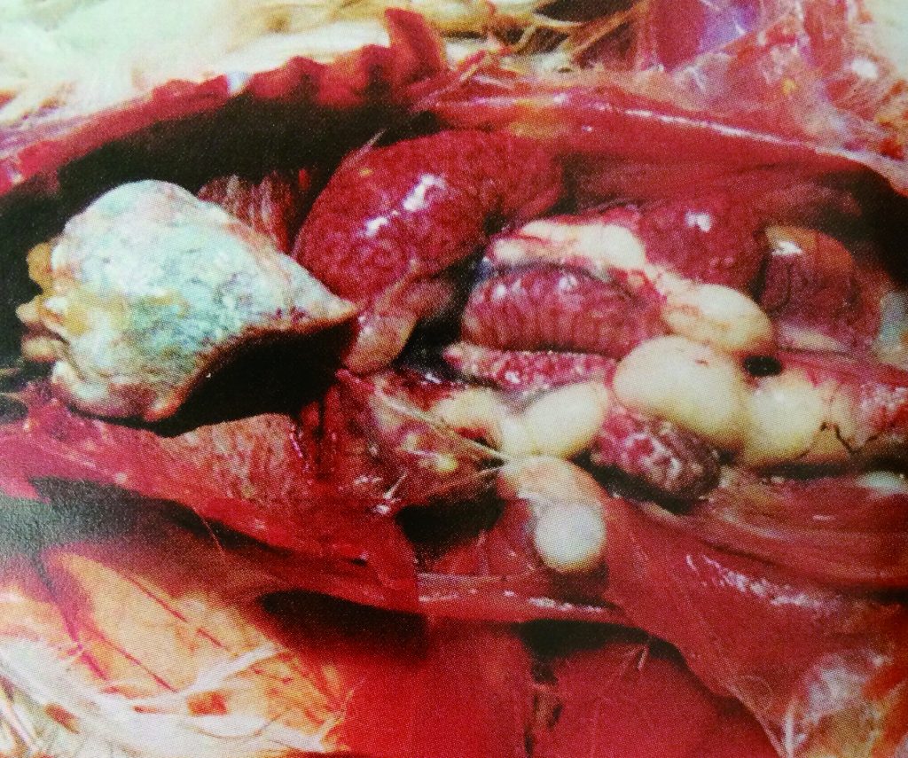 日韩精品亚洲电影天堂